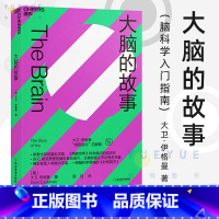 [正版]大脑的故事 大卫·伊格曼 脑科学家 西部世界科学顾问成名之作 脑科学入门指南 科普纪录片 自我进化图书藉