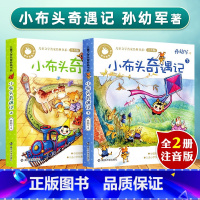 全2册小布偶奇遇记 [正版]小布头奇遇记注音版小学生一年级二年级三年级老师孙幼军童话故事书儿童读物彩色带拼音版小学生课外