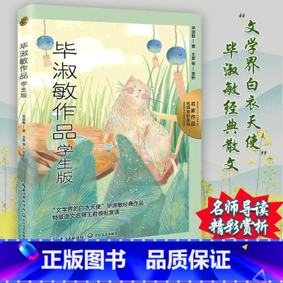 毕淑敏作品选 [正版]毕淑敏散文集精选 中小学生三四五年级课外阅读书籍必读经典毕淑敏幸福三部曲 给孩子的心灵成长书儿童文