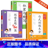 [1年级套装]阅读真题60篇上册+句式训练+积累与默写 上册 小学通用 [正版]2023版53小学基础练阅读真题60篇一