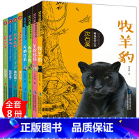 [正版]沈石溪动物小说全集 品藏书系全套8册 沈石溪的书全系列 小学生四年级 六年级课外书 阅读书籍四五 金蟒蛇牧