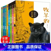 [正版]沈石溪动物小说全集 品藏书系全套8册 沈石溪的书全系列 小学生四年级 六年级课外书 阅读书籍四五 金蟒蛇牧