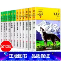 [正版]沈石溪动物小说全集 全套12册 全系列的书 狼王梦 第七条猎狗经典书籍 小学生 保姆蟒 四五六年级 后一头战象