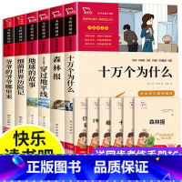 四年级下册 快乐读书吧(全6册) 四年级下 [正版]快乐读书吧四年级下册 全套6册语文四下必读书目阅读课外书穿越地平线地