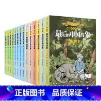 [套装]全14册 [正版]学校力荐后的中国战象 漫画版全册 签名卡片沈石溪动物小说 象群的征途小象拔刺小学生四五六年级课