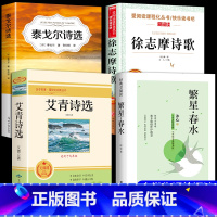 [全4册]小学生现代诗歌 [正版]小学生现代诗歌繁星春水冰心艾青泰戈尔诗选徐志摩诗歌全集儿童文学散文读本诗集精选小学四年