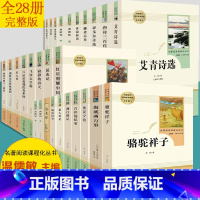 [正版]全套28册初中生七八九年级上下册名著人教版西游记原著朝花夕拾鲁迅必读海底两万里和骆驼祥子水浒传青少年版世界经典