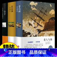 小王子+瓦尔登湖+老人与海 [正版]精装珍藏版 小王子书 原版老人与海瓦尔登湖必读小学生三四五六年级课外书老师小学阅读书