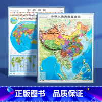 3D立体地图(中国地图)+(世界地图) [正版]时光学2023新版中国地图和世界地图3d立体凹凸墙面装饰学生墙贴挂图小学