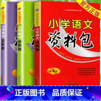 [正版]小学语文数学英语资料包必刷题人教版全套小学生一二三年级四五六年级下册基础知识大全手册全国通用小升初系统总复习专