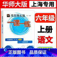 语文增强版 六年级上 [正版]2022华东师大版一课一练六年级上册语文增强版6年级上第一学期一课一练上海小学初中教辅课后