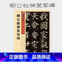 [正版]书籍墨点柳体毛笔字帖柳公权神策军碑毛笔字帖初学者初学入门临摹大学生练字毛笔字柳体楷书小楷毛笔书法字帖