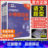 四川、陕西、内蒙、宁夏、青海 语文整本书阅读 [正版]2024新版高考必刷题分题型强化语文小卷组合练整本书阅读古诗文理解