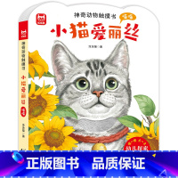 小猫爱丽丝 [正版]神奇动物触摸书 婴幼儿早教宝宝0-3岁小猫爱丽丝小兔比利儿童启蒙面具洞洞翻翻婴儿撕不烂触感刺激认知书