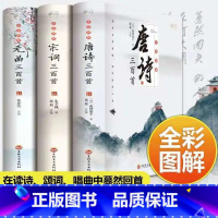 [正版]全套3册全彩唐诗宋词元曲全集唐诗宋词三百首唐诗宋词鉴赏大全集古诗词书籍注释译文全唐诗陆游李清照杜甫李白诗集元曲