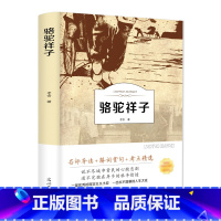 骆驼祥子 [正版]有声伴读骆驼祥子书老舍名师无障碍阅读陪读导读赏评版全新解读骆驼样子祥子青少年版名著七年级下册初中生课外