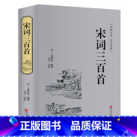 [正版]精装珍藏宋词三百首 中国文联出版社 宋词三百首全鉴赏辞典生僻字注音版笺注上疆村民著小学生阅读书籍单本