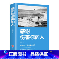 [正版]感谢伤害你的人 青春文学励志书籍 人生的成长修炼课心灵修养正能量成功 书排行榜