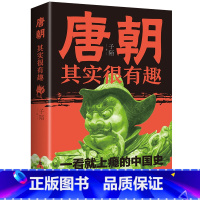 [正版]唐朝其实很有趣 子陌/著 一部让人看了就上瘾的中国史趣说唐朝那些事唐朝历史人物事迹书籍通俗历史读物趣味学历史