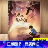 [正版]童趣 爸爸的雨花石 “少年智”中国原创书籍 一个孩子1973年的南京记忆 三四五六年级小学生课外阅读经典书籍儿