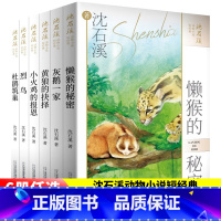 沈石溪动物小说短经典[全6册] [正版]沈石溪动物小说短经典全套6册全集沈石溪的书 9-12-15岁小学生三四五六年级课