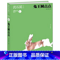 兔王圆点点 [正版]动物联盟 动物小说精品少年读本 狼王梦作者沈石溪经典系列作品小学生3-4-5-6年级课外阅读书籍儿童