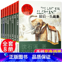 沈石溪动物小说画本(全8册) [正版]沈石溪动物小说画本系列 全套8册沈石溪绘本一头战象斑羚飞渡白象家庭 6-15岁三四