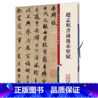 [正版]赵孟頫书前后赤壁赋 彩色放大本 中国 碑帖 孙宝文编 上海辞书出版社 书法篆刻碑帖鉴赏毛笔字练习临摹字帖 安徽