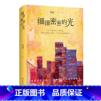 [正版]细细密密的光 马曳2022年现实主义长篇情感小说力作 书写世人眼中精英人群的世故人情、悲欢离合,幽默还原真实生