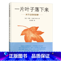 一片叶子落下来 [正版] 一片叶子落下来(关于生命) 3-6周岁幼儿园宝宝早教绘本亲子故事幼儿启蒙精装硬壳图画书籍心灵修