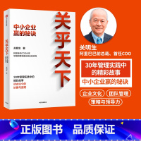 [正版]关乎天下中小企业赢的秘诀 关明生著 阿里管理体系建设者 早期阿里管理正规化实践分享 管理实践精华 阿里妈妈