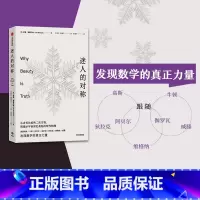 [正版]迷人的对称 从古巴比伦的二次方程 到揭示宇宙深处奥秘的现代物理 伊恩斯图尔特 著 跟随闪耀天才的故事 探索对称