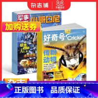 [正版]好奇号+小哥白尼军事科学画报杂志 2024年1月起订 组合共24期 初中小学生军事科技兴趣培养杂志 杂志铺