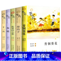 [全5册]曹文轩合集 [正版]草房子原著完整版曹文轩 五六年级必读 适合四年级阅读下册上册课外书下学期北京少年儿童出版社