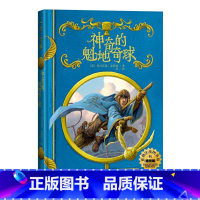 霍格沃茨图书馆系列 [正版]神奇的魁地奇球(插图版)(霍格沃茨图书馆系列)