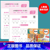 [一年级上册+下册]语文默写纸 [正版]小学语文默写纸一年级二年级上册下册看拼音写词语生字注音练习册小学生默写能手人教版
