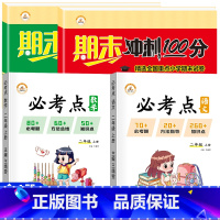 [全套4册]期末冲刺100分+必考点知识总结 二年级上 [正版]二年级上册试卷测试卷全套人教版期末冲刺100分小学2年级