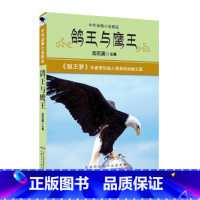 [正版]鸽王与鹰王 沈石溪动物小说 中外动物小说精品全集 6-9-12-14周岁中小学儿童文学课外书 二三四五六年级寒