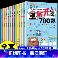 全套12册 2-6岁全脑开发 [正版]全脑开发700题1000题2-3岁早教书幼儿智力开发幼儿园数学小班思维训练逻辑专注