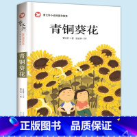 曹文轩《青铜葵花》 [正版]青铜葵花曹文轩儿童文学纯美小说阅读 8-12岁青少年课外阅读读物三四五六年级小学生书籍