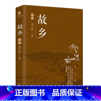 [正版]故乡评析经典世界名著文学小说学生课外阅读鲁迅文集 现当代励志文学小说初中生阅读书排行榜世界著名文学F