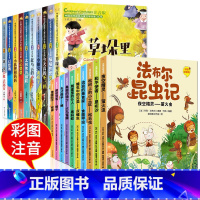 [全20册]获奖儿童文学+昆虫记 [正版]全套10册中国当代获奖儿童文学作家书系注音版二年级阅读课外书bi读一年级上下册