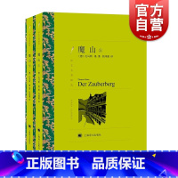 [正版]魔山 上下 托马斯曼 译文名著精选 文学名著 德国文学 震撼世界文坛的史诗力作 现代小说 外国文学 欧美小说