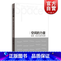 [正版]空间的力量 地理 政治与城市发展 第2版 陆铭 著 空间政治经济学的视角理解中国 图书籍 格致出版社 世纪出版