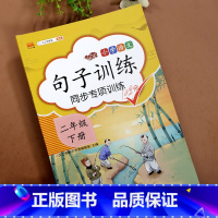 [正版]2023新版二年级下册语文句子训练小学2二年级下册语文句子专项训练 连词成句把字句被字句照样子写句子看拼音写句