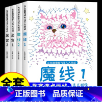 左右脑专注力(迷宫+魔线1+2) [正版]左右脑思维专注力迷宫大挑战幼儿园高难度迷宫魔线小学生益智游戏3-6-7-8-1