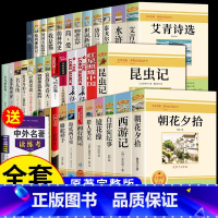 [配套人教版] 七八九年级必读36册 送考点 [正版]全套4册 朝花夕拾七年级必读书西游记鲁迅原著骆驼祥子和海底两万里上