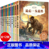 [全套12册]沈石溪动物小说全集 [正版]沈石溪动物小说全集流星龙王小学生课外阅读书籍必读儿童故事书老师三四五六年级