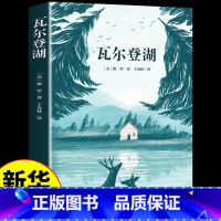 [正版]瓦尔登湖原著 梭罗力著王光林全译本完整无删减 外国现当代文学经典读物世界名著初高中小学生课外阅读小说书籍