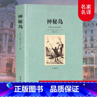 [正版]神秘岛(法)凡尔纳著全译本完整中文版 外国世界经典文学名著小说故事原版 初中生高中生课外阅读书籍书排行榜